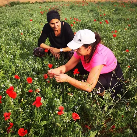 アパート La Majorera Villaverde